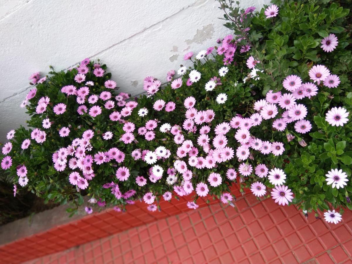 Ganapathy Garden Homestay Kodaikanal Exterior foto